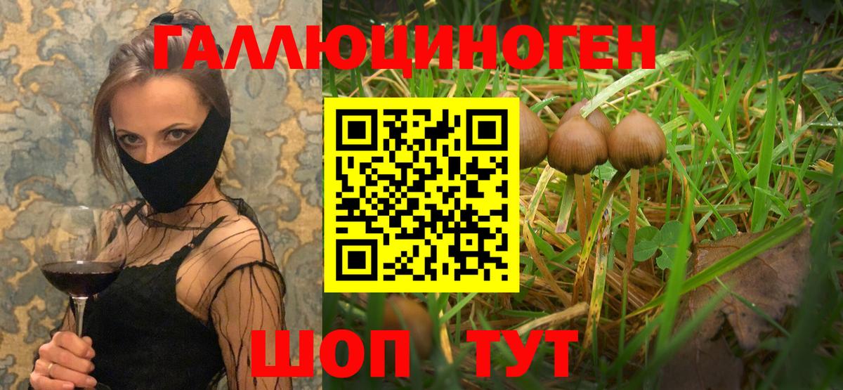 Псилоцибиновые грибы мицелий Кумертау