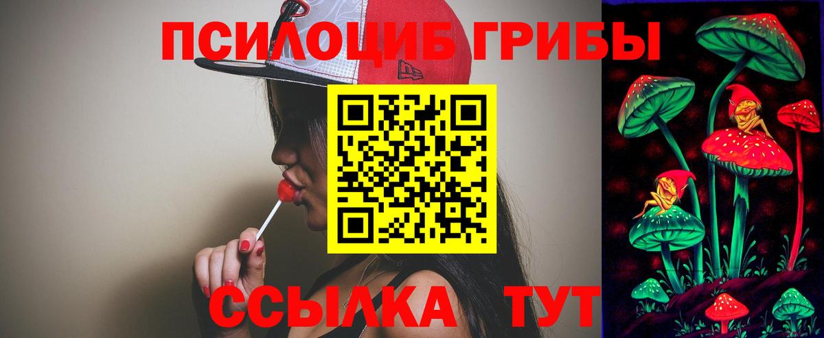 Галлюциногенные грибы Cubensis  Вход с VPN  Кумертау 